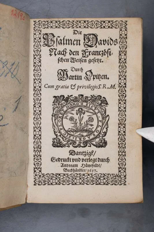 Die Psalmen Davids 