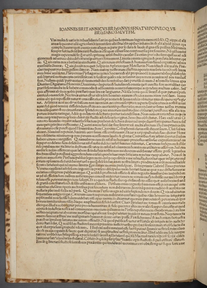 Satyrae 